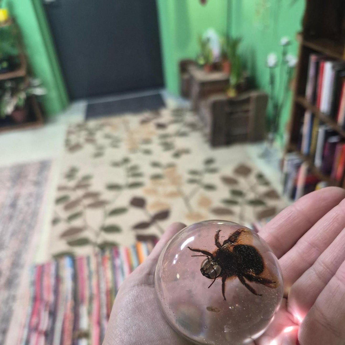 Glass globe with a bee