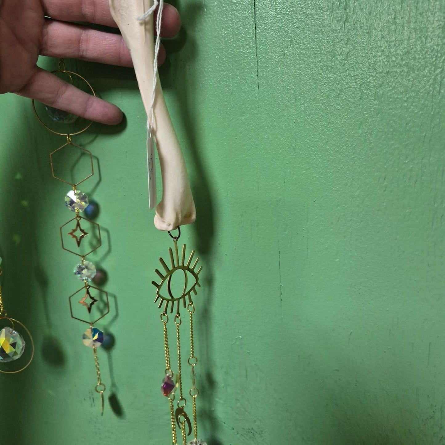 Turkey buzzard bone charm wall