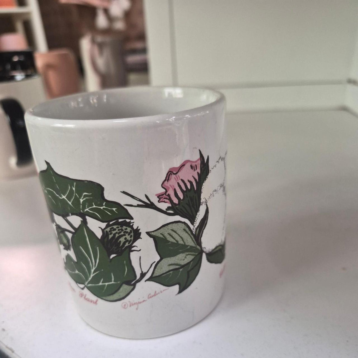 Cotton plant mug with green