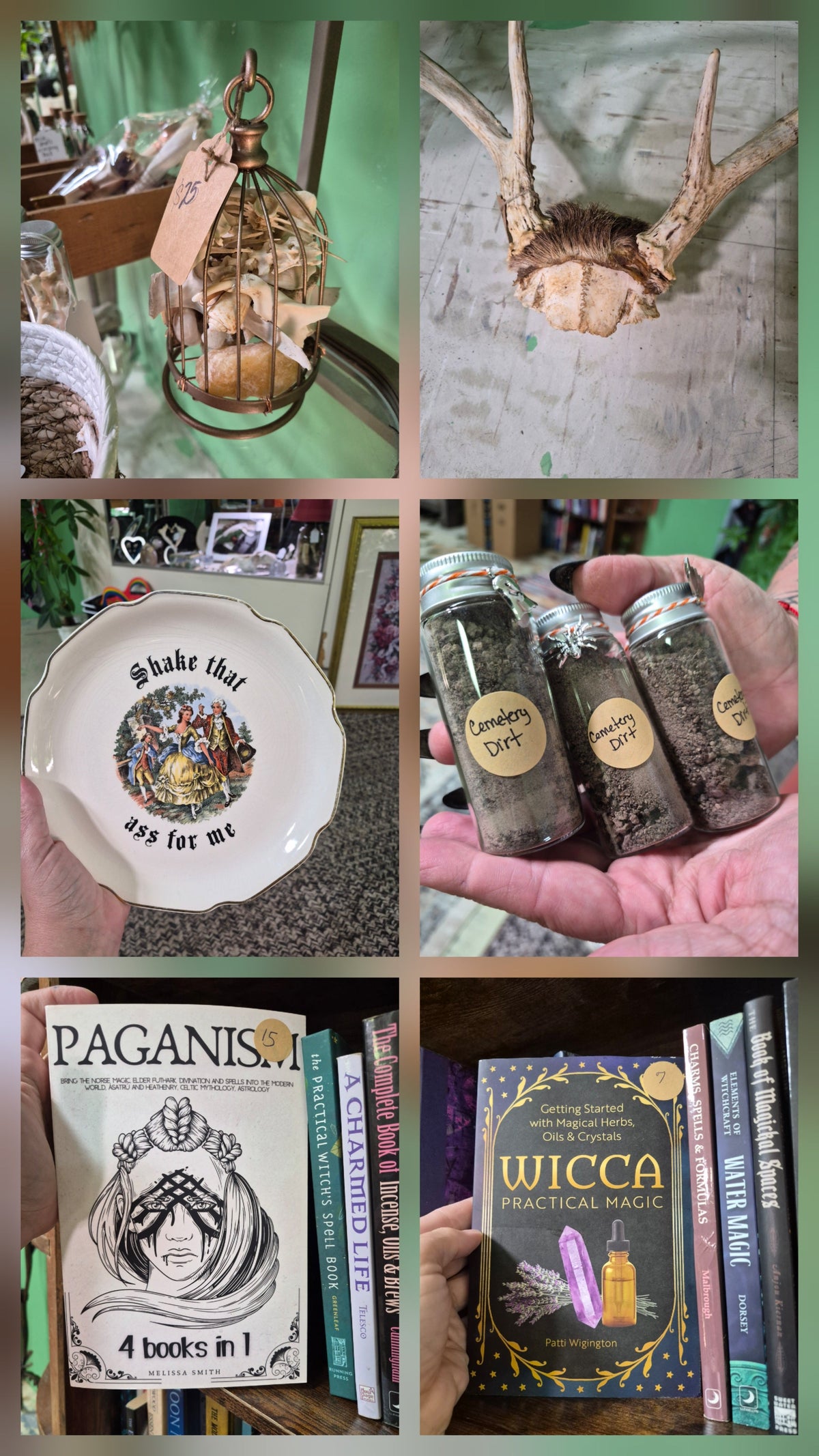 Curiosities and Oddities