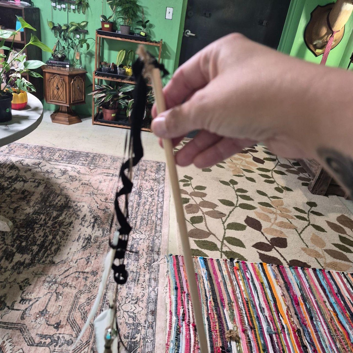 Cat wands with real feathers