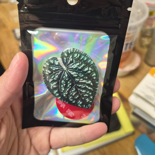 Pop socket black green