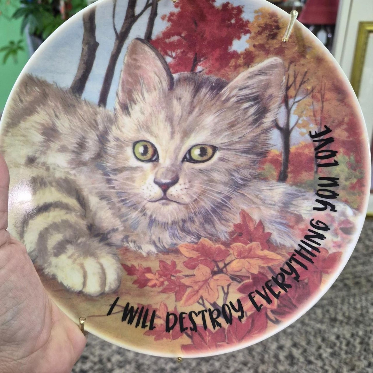 Cute cat plate with gray
