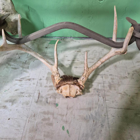 Hair piece henry deer skull