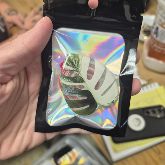 Pop socket monstera leaf shaped