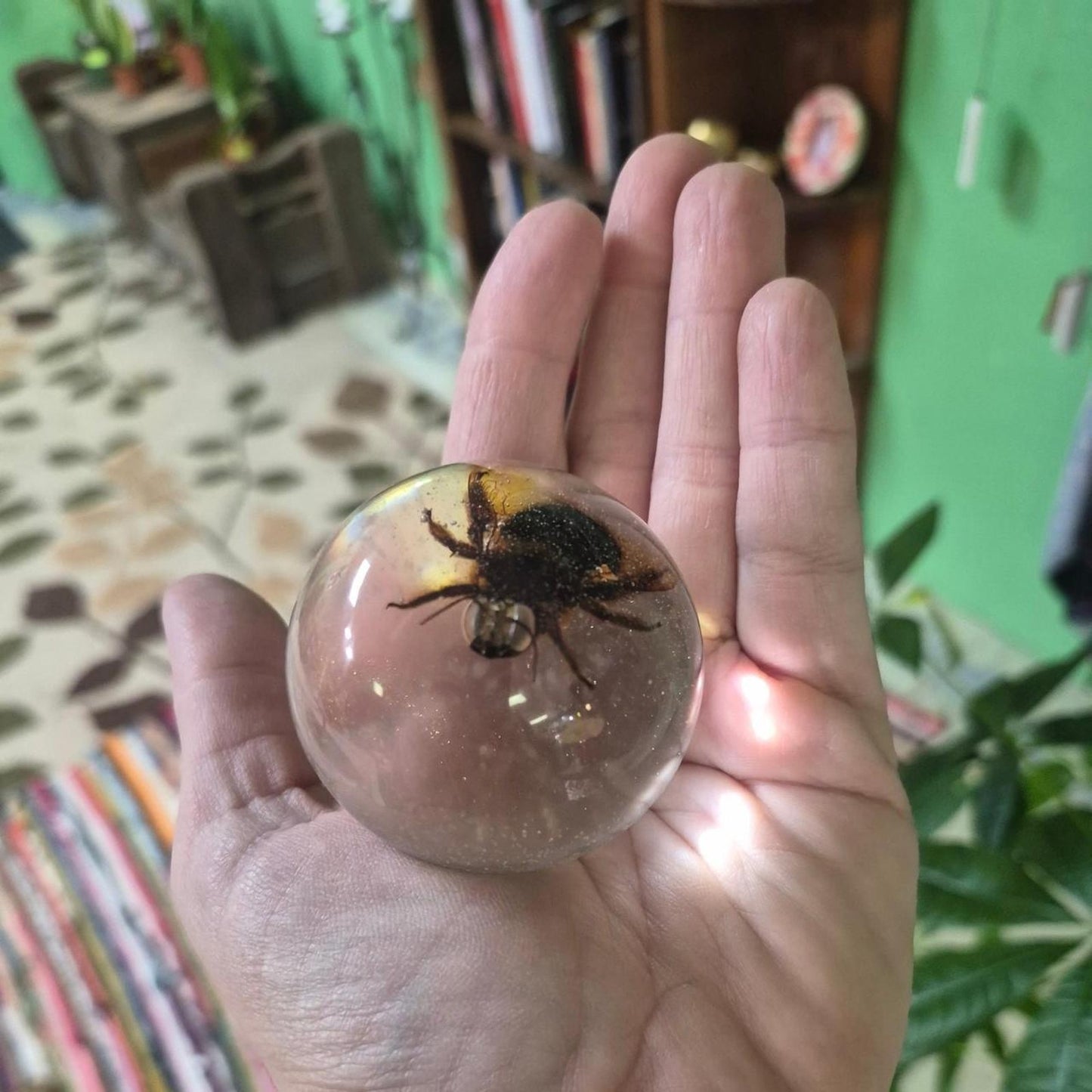 Glass globe with a bee