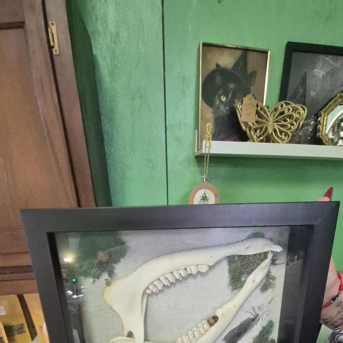 Framed deer jaw deer jaws