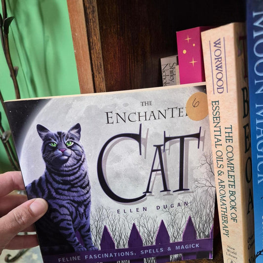 The enchanted cat by ellen